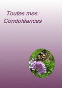 Papillon sur un doux fond floral